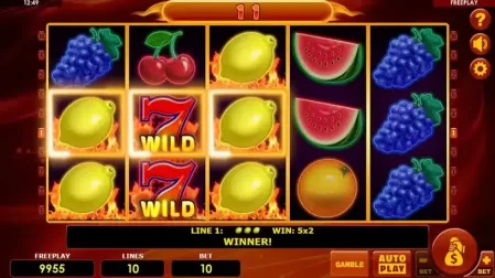 Hot Fruits 10 slot screenshot 4