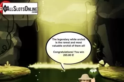 Bonus Game 3. Jungle Mystery from PAF
