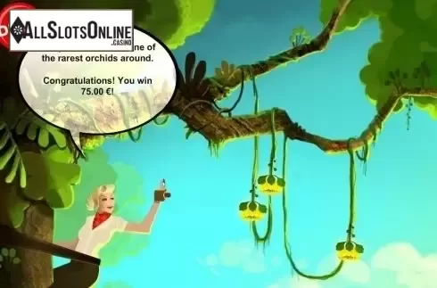 Bonus Game 2. Jungle Mystery from PAF