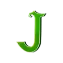 icon 10