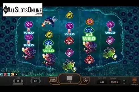 x3 wild. Magic Mushrooms from Yggdrasil