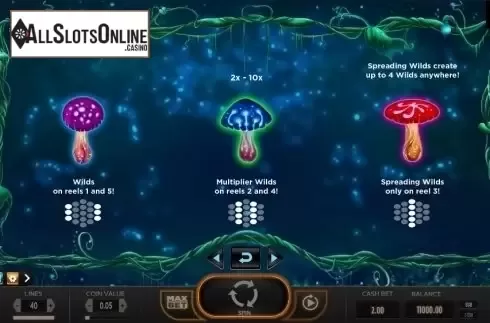 Screen9. Magic Mushrooms from Yggdrasil