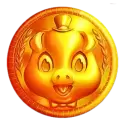 icon 13