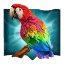 icon 2