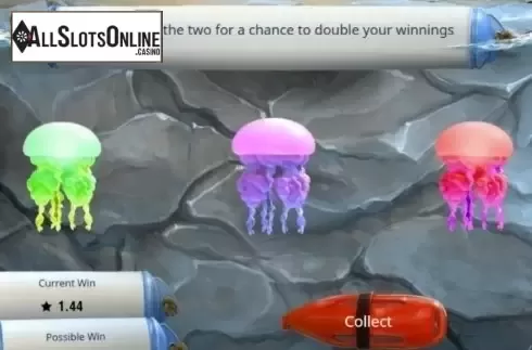 Gamble. Shark Meet from Booming Games