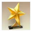 icon 12