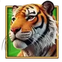 icon 2