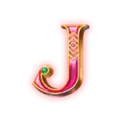 icon 9