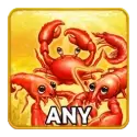 icon 6