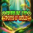 Dublin Up Pots OGold