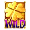 icon 9
