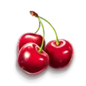 icon 6