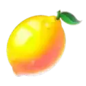 icon 5