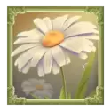 icon 4