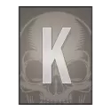 icon 9