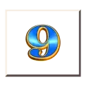 icon 11