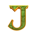 icon 9