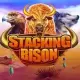 Stacking Bison
