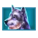 icon 4