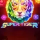 Super Tiger