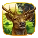 icon 1