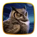 icon 2