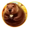 icon 4