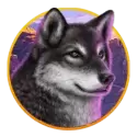 icon 6