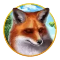 icon 5