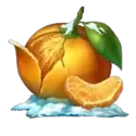 icon 5