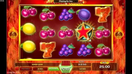 Burning Flame slot screenshot 3