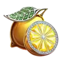 icon 10