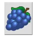 icon 4