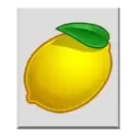 icon 6