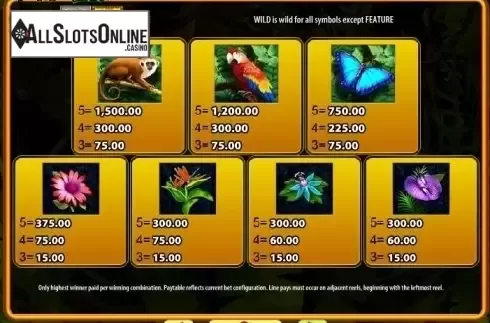 Paytable 2. Jungle Wild from WMS