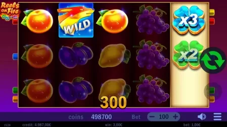 Reels on Fire slot screenshot 2