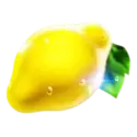 icon 10