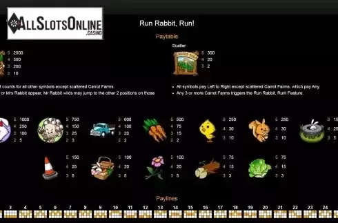 Paytable and Paylines screen