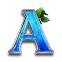 icon 7