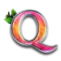 icon 9