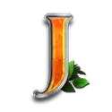 icon 10