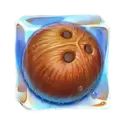 icon 4