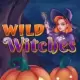Wild Witches