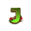 icon 10