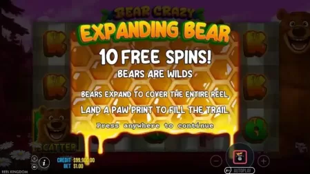 Bear Crazy slot screenshot 3