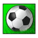 icon 5