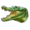 icon 5