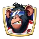 icon 1