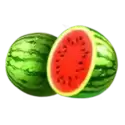 icon 3