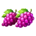 icon 4